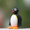 PINGI